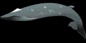 Stylized Dolphin Graphic PNG image with transparent background