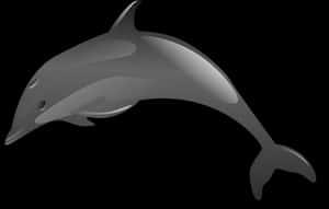Stylized Dolphin Graphic PNG image with transparent background