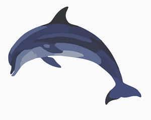 Stylized Dolphin Illustration PNG with transparent background