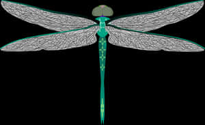 Stylized Dragonfly Illustration PNG image with transparent background