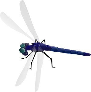 Stylized Dragonfly Illustration PNG Image