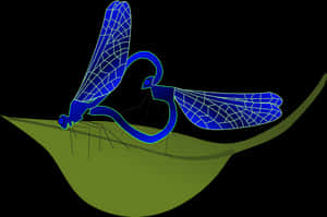 Stylized Dragonfly Illustration PNG image with transparent background