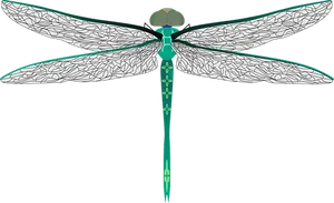 Stylized Dragonfly Illustration PNG Image