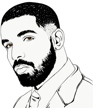 Stylized Drake Portrait PNG Image