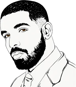 Stylized Drake Portrait PNG Image