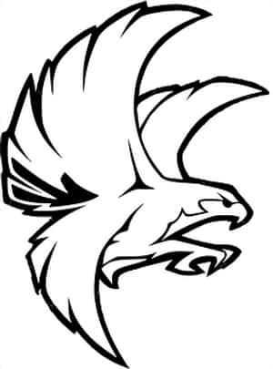 Stylized Eagle Head Outline PNG image with transparent background