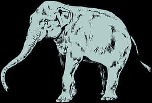 Stylized Elephant Illustration PNG image with transparent background