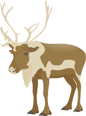 Flat Deer Vector - Elk, HD Png Download PNG image with transparent background