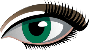 Eyelash Clipart Simple Eye - Eyes Vector Png, Transparent Png PNG image with transparent background