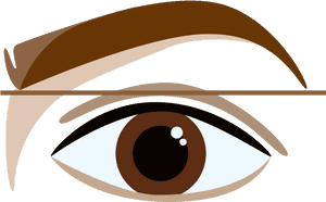 Stylized Eyeand Eyebrow Illustration PNG image with transparent background
