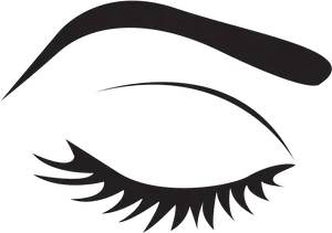 Stylized Eyelash Graphic PNG Image