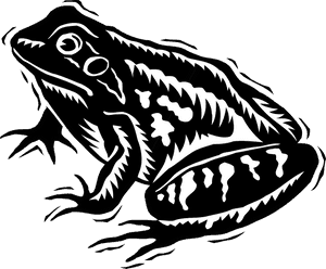 Black And White Frog Svg, HD Png Download PNG image with transparent background