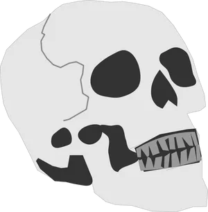 Stylized Graphic Skull Illustration PNG Image