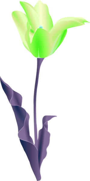 Simple Flower Outline - Tulip Clip Art, HD Png Download PNG image with transparent background