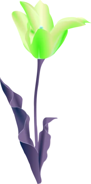 Stylized Green Flower Illustration PNG Image