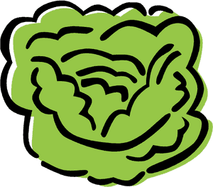 Lettuce Clipart Sliced - Alface Vetor, HD Png Download PNG image with transparent background