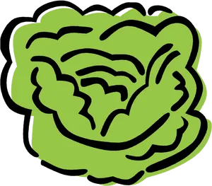 Stylized Green Lettuce Illustration PNG Image