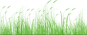 Clip Black And White Library Nature Transparent Meadow - Dogs And Flowers Clipart, HD Png Download PNG with transparent background