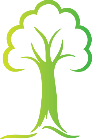 Anywhere Tree Care - Prospect Heights Park District, HD Png Download PNG image with transparent background