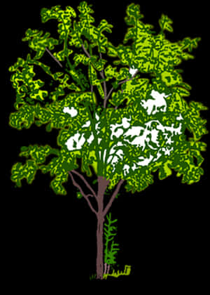 Stylized Green Tree Illustration PNG image with transparent background