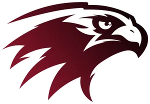 Stylized Hawk Logo PNG Image