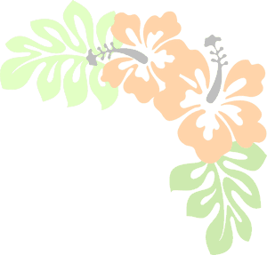 Stylized Hibiscus Floral Design PNG image with transparent background