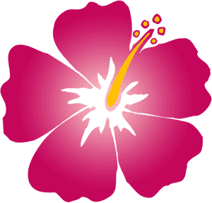 Stylized Hibiscus Flower Illustration PNG image with transparent background
