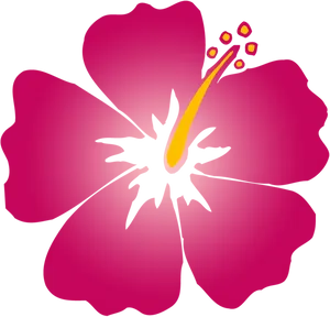 Stylized Hibiscus Flower Illustration PNG Image