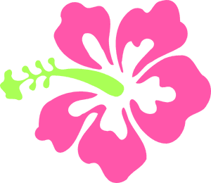 Stylized Hibiscus Graphic PNG image with transparent background