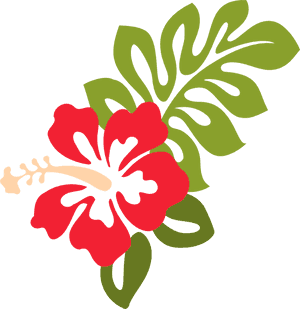 Stylized Hibiscus Graphic PNG image with transparent background