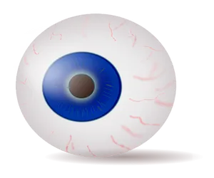 Stylized Human Eye Illustration PNG Image