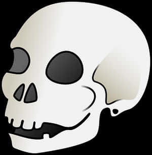 Stylized Human Skull Graphic PNG with transparent background