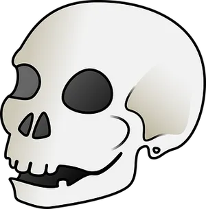 Stylized Human Skull Graphic PNG Image