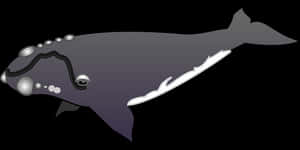 Stylized Humpback Whale Illustration PNG image with transparent background