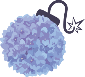 Hydrangea Serrata, HD Png Download PNG image with transparent background