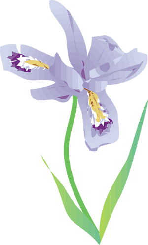 Clip Art, HD Png Download PNG image with transparent background