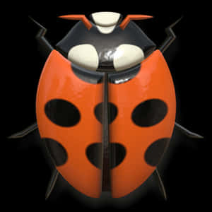 Stylized Ladybug Illustration PNG image with transparent background