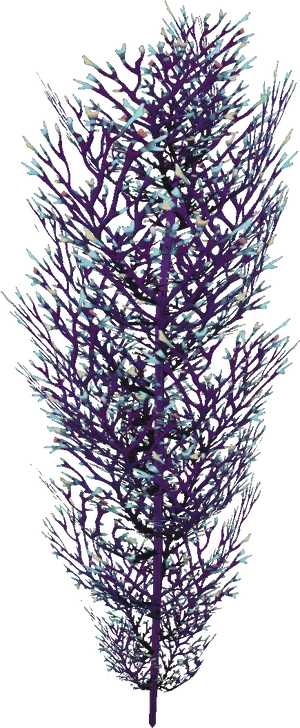 Stylized Lavender Sprig PNG Image