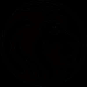 Stylized Lion Silhouette Art PNG image with transparent background