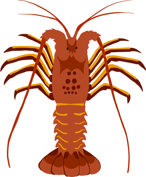 Lobster Clipart , Png Download - Spiny Lobster Graphic, Transparent Png PNG image with transparent background