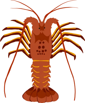 Stylized Lobster Illustration PNG Image