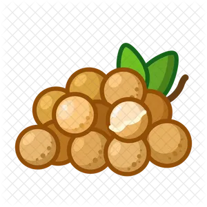 Stylized Longan Fruit Cluster PNG Image