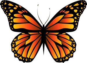 Stylized Monarch Butterfly Illustration PNG Image