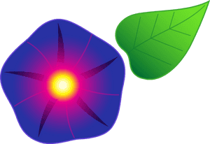 Morning Glory Flower - Morning Glory Flowers Clipart, HD Png Download PNG image with transparent background