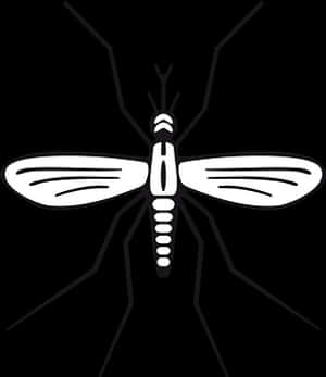 Stylized Mosquito Illustration PNG image with transparent background