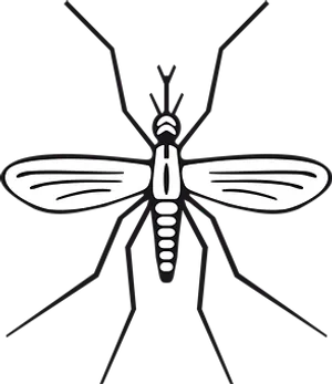 Stylized Mosquito Illustration PNG Image