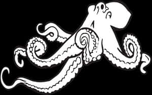 Stylized Octopus Graphic PNG image with transparent background