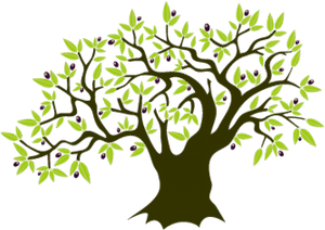 Olive Branch Download Free Clipart With A Transparent - Olive Tree Clipart Png, Png Download PNG with transparent background