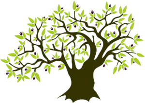 Stylized Olive Tree Illustration PNG Image