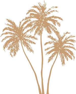 Stylized Orange Palm Leaves PNG Image